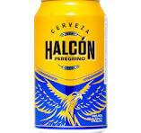 cerveza halcon peregrino